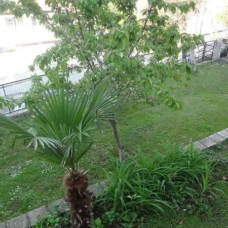 64 * Sztar Dojran